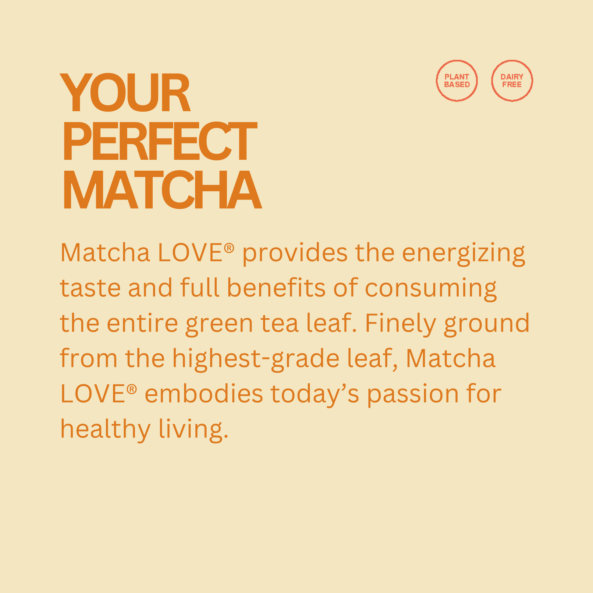 matcha LOVE Unsweetened Ginger Matcha + Green Tea