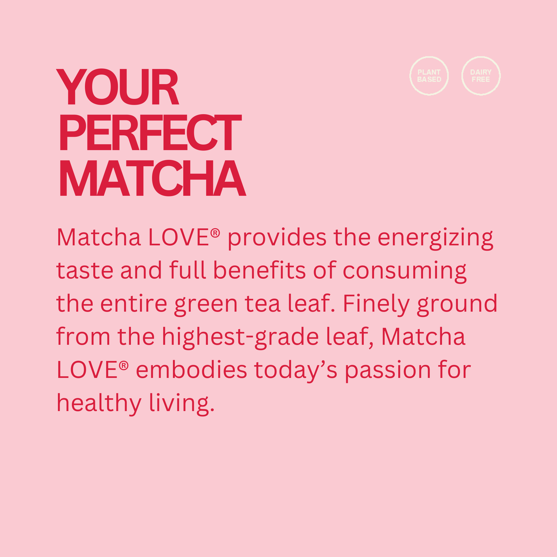 matcha LOVE Sweetened Strawberry Matcha + Green Tea