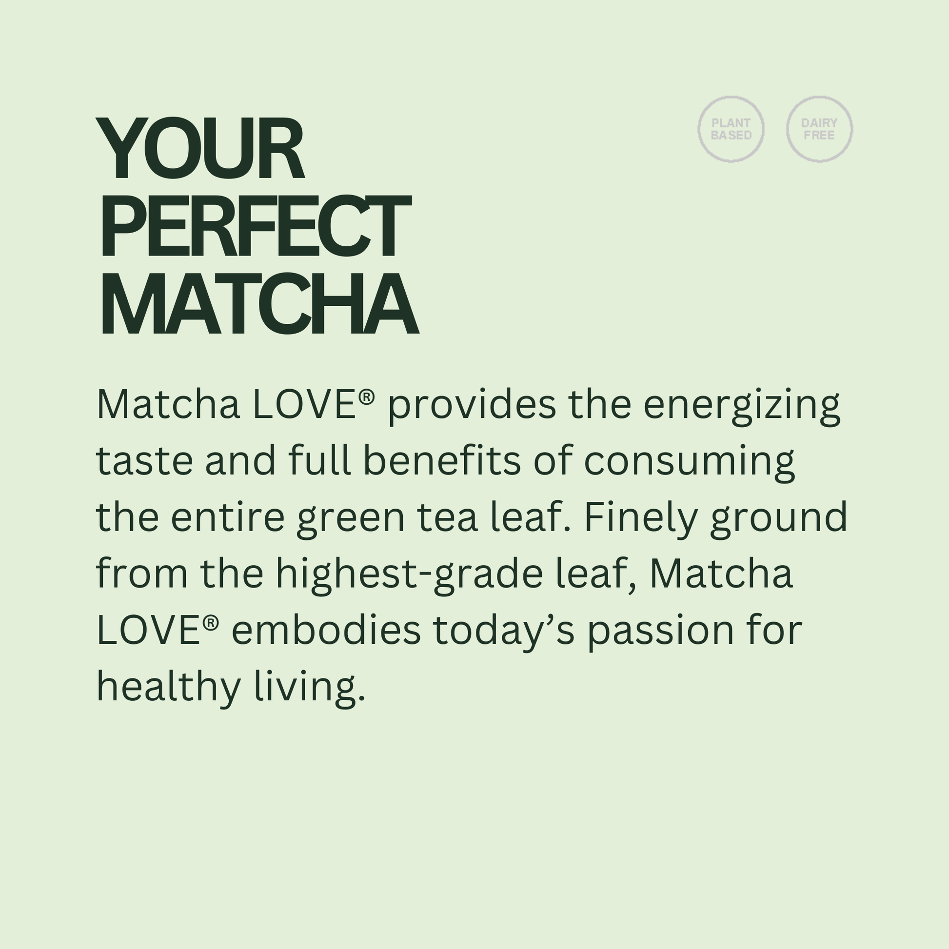 matcha LOVE Unsweetened Matcha + Green Tea