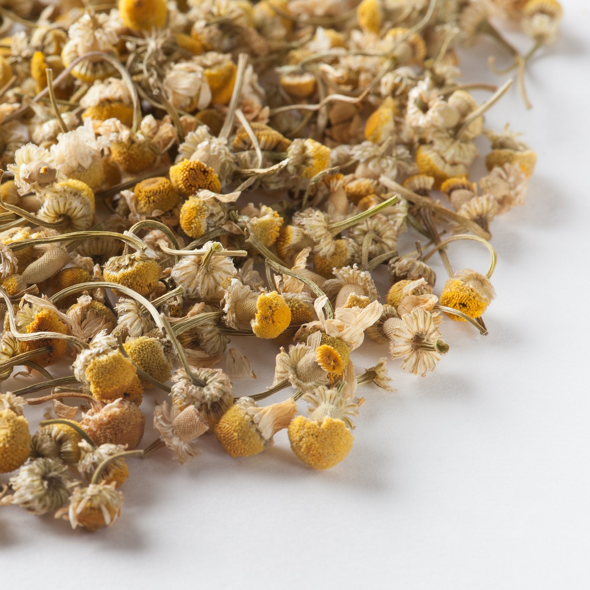 Loose Leaf - Herbal and Blended Teas – ITO EN